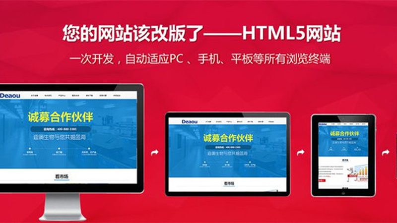 外贸建站厂家直供的五大优势与潜在不足